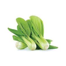BOK CHOI